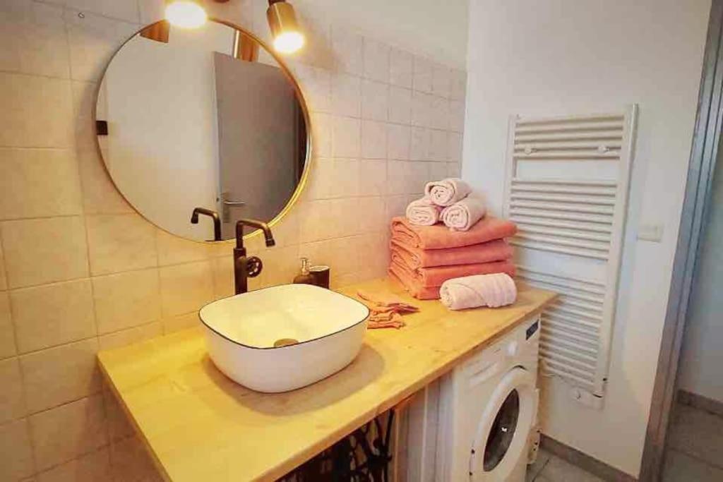 Cocoon'Isle - Jardinet- Jacuzzi Apartment L'Isle-sur-la-Sorgue Ngoại thất bức ảnh